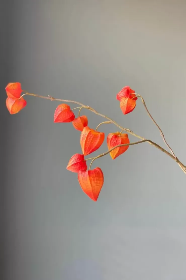 Kunstliche Blumen|Pip Studio Pip Kunstliche Blumen Fall Beauty