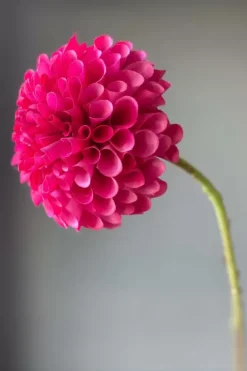 Kunstliche Blumen|Pip Studio Pip Kunstliche Blumen Sweet Symphony