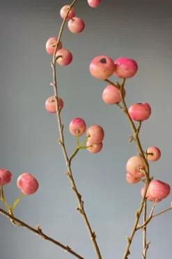 Kunstliche Blumen|Pip Studio Pip Kunstliche Blumen Sweet Symphony