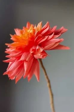 Kunstliche Blumen|Pip Studio Pip Kunstliche Blumen Sweet Symphony