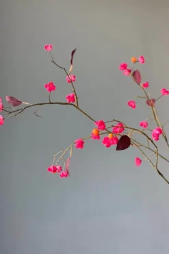 Kunstliche Blumen|Pip Studio Pip Kunstliche Blumen Vanilla Bloom