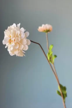 Kunstliche Blumen|Pip Studio Pip Kunstliche Blumen Vanilla Bloom