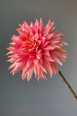 Kunstliche Blumen|Pip Studio Pip Kunstliche Blumen Vanilla Bloom