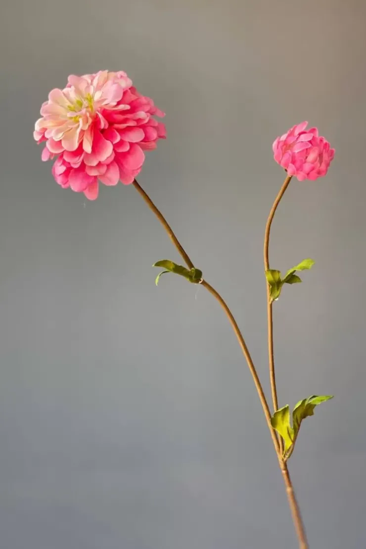 Kunstliche Blumen|Pip Studio Pip Kunstliche Blumen Vanilla Bloom