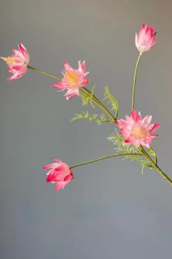 Kunstliche Blumen|Pip Studio Pip Kunstliche Blumen Vanilla Bloom