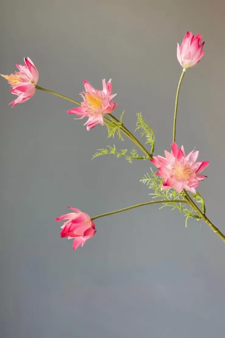 Kunstliche Blumen|Pip Studio Pip Kunstliche Blumen Vanilla Bloom